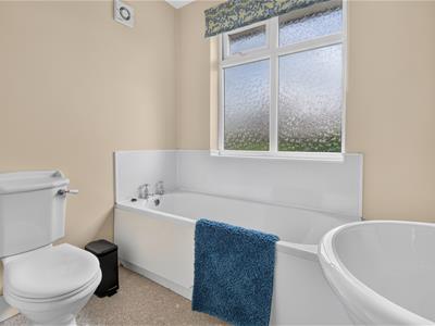 Picture 15